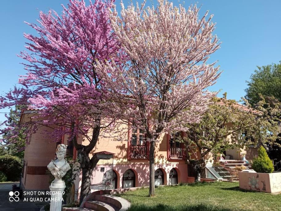 Finca Denunez Villa La Mata  Luaran gambar